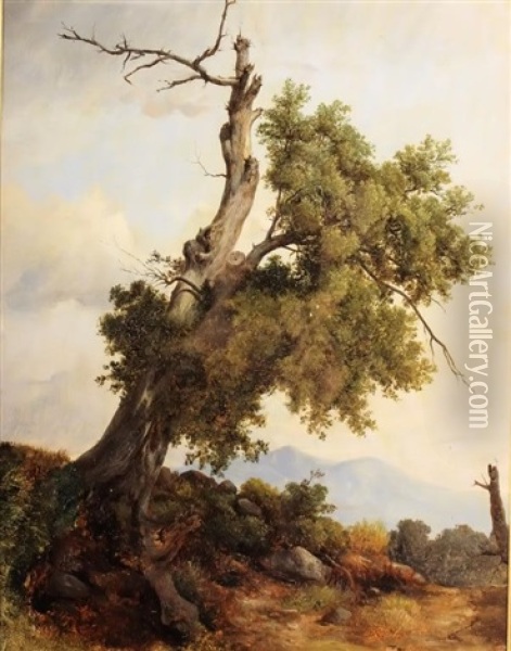 Tree Oil Painting - Friedrich Gauermann