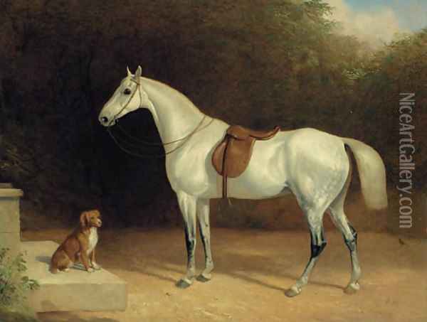 A saddled grey hunter, with a dog on a stone step, and a robin Oil Painting - Thomas Woodward