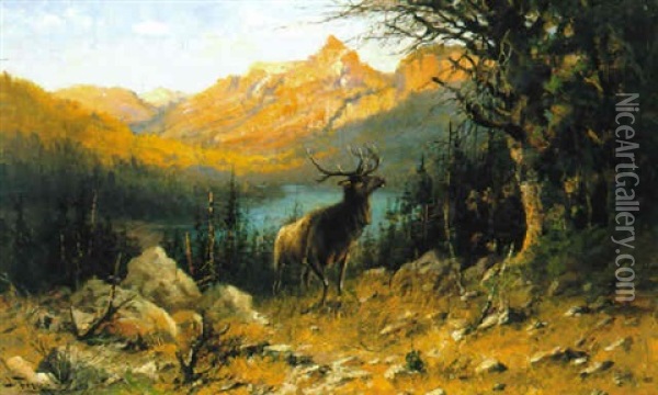 Glacier Elk Oil Painting - John Fery