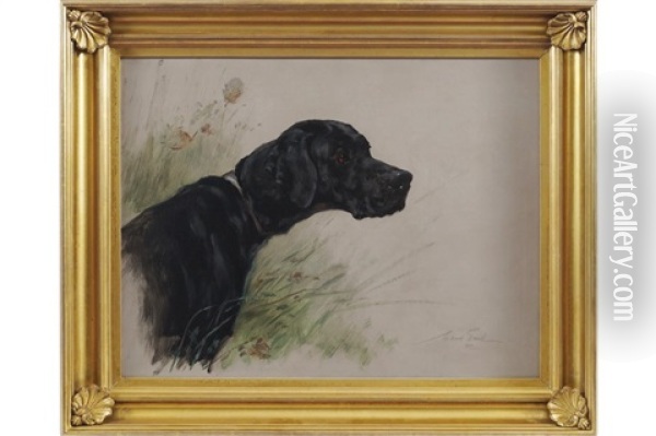 A Black Setter Oil Painting - Maud Earl