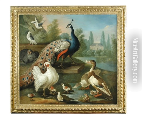 A Peacock And Other Birds Near Water In A Parkland Setting Oil Painting - Marmaduke Cradock