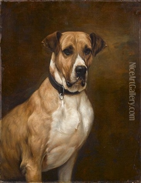 Portrait Of A Great Dane Oil Painting - Vilhelm Eyvind Tilly