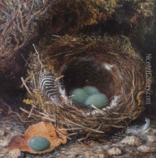 Study Of A Dunnock's Nest Oil Painting - John Atkinson Grimshaw
