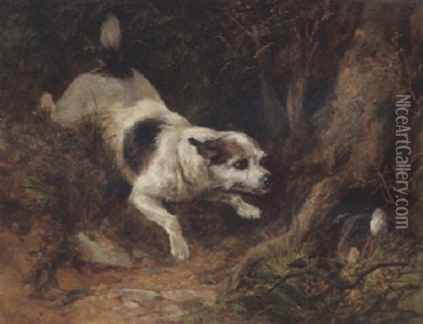 A Terrier Rabbiting Oil Painting - Heywood Hardy