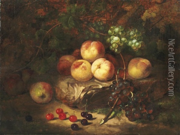 Waldbodenstilleben Mit Pfirsichen, Weintrauben Und Kirschen Oil Painting - Gerardina Jacoba van de Sande Bakhuyzen