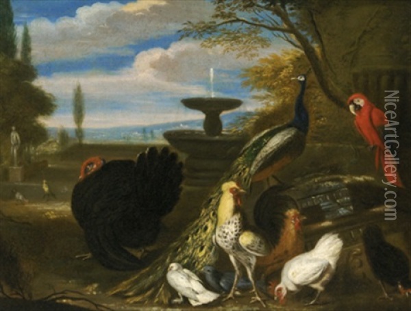 Ein Truthahn, Pfau, Papagei Sowie Huhner Und Tauben In Einem Schlosspark Oil Painting - David de Coninck