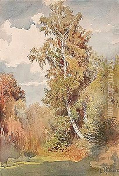 A birch in the glade Oil Painting - Konstantin Egorovich Egorovich Makovsky