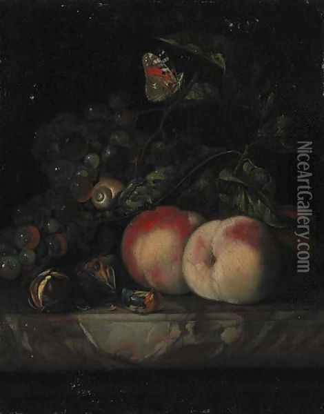 Grapes, peaches and walnuts, with a snail and a butterfly in foliage on a marble ledge Oil Painting - Willem Van Aelst