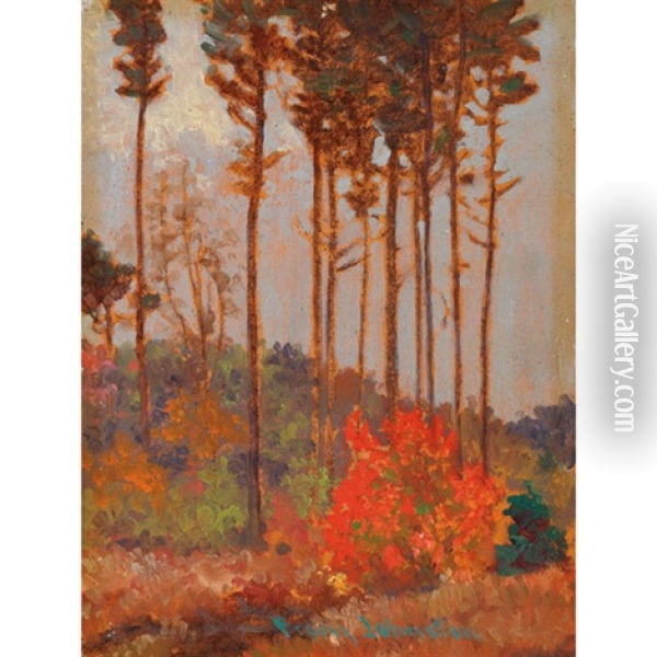 The Red Bush Oil Painting - Francis Hans Johnston
