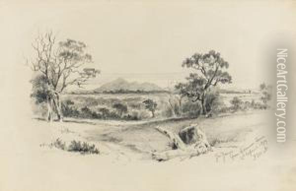 You Yangs From German Town Oil Painting - John Mckirdy Nelson