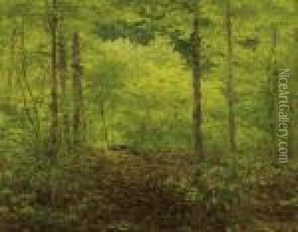 Forest Landscape Oil Painting - Isaak Ilyich Levitan