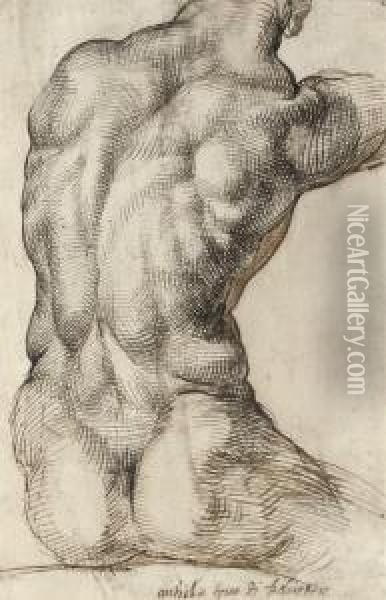 A Nude Torso Seen From Behind, After The Apollo Belvedere Oil Painting - Bartolomeo Passarotti