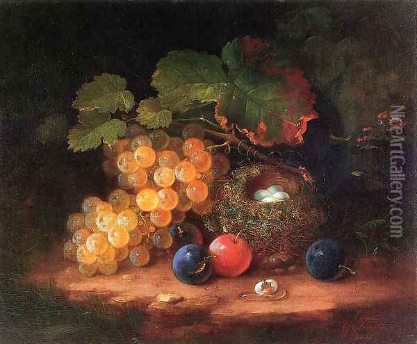 Still Life with Fruit, Bird's Nest and Broken Egg Oil Painting - George Forster