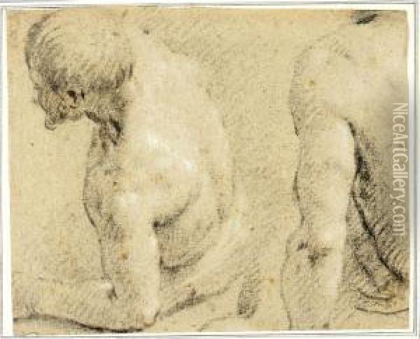 Study Of The Torso And Head Of A
 Man Leaning To The Left, And Another Study Of A Shoulder Oil Painting - Carletto Carliari