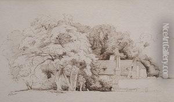 Sketch Of A House At Wimbledon Oil Painting - Edward Thompson Davis