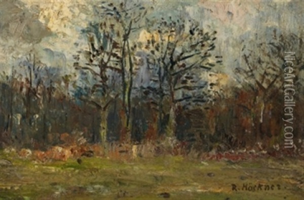 Norddeutsche Landschaft Oil Painting - Rudolf Hoeckner