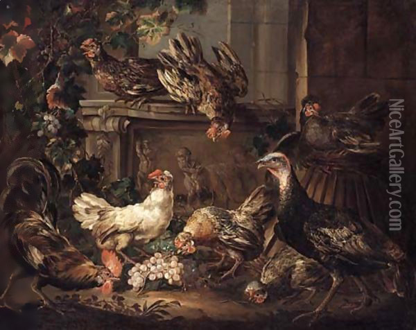 A turkey, a cockerel and hens eating grapes by a bas relief Oil Painting - Giovanni Crivelli, Il Crivellone
