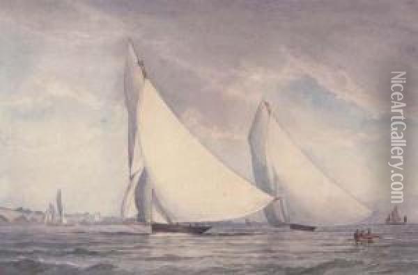 The Swedish Cutter 
Freja 
 Racing In The Solent Oil Painting - Friedrich Horner