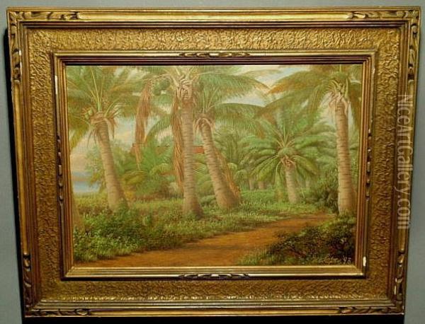 Florida Landscape Painting With Palm Trees Oil Painting - George Cope