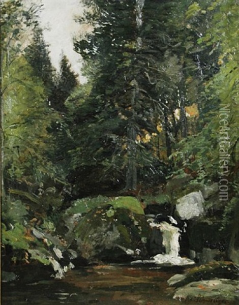 Bachlauf Im Wald Oil Painting - Adolf Gustav Schweitzer