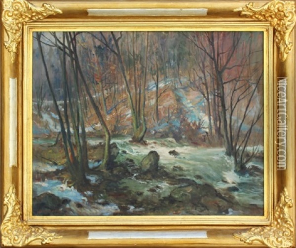 Zamecky Park V Namesti Oil Painting - Arkadi Solovjev