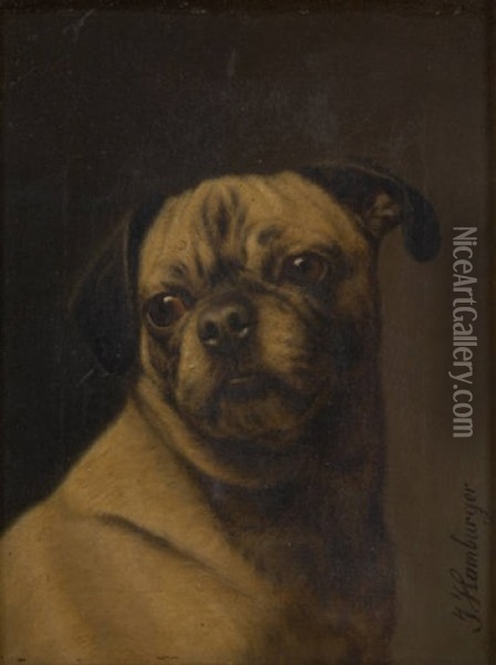 Regard Canin Oil Painting - Julius Hamburger