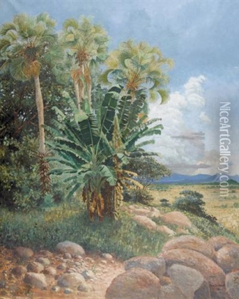 Afrikanische Landschaft Oil Painting - Paul Reichard