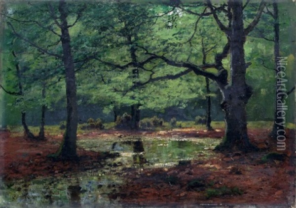 Bachlauf Im Wald Oil Painting - Konrad Alexander Mueller-Kurzwelly