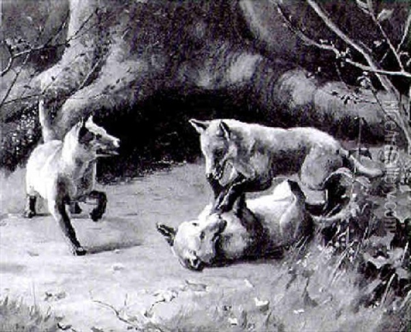 Fox Cubs Playing By A Tree Oil Painting - Alfred Duke