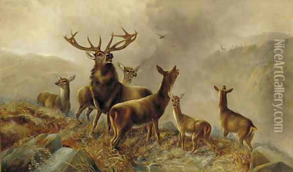 A stag with hinds in a Highland landscape Oil Painting - Robert Cleminson
