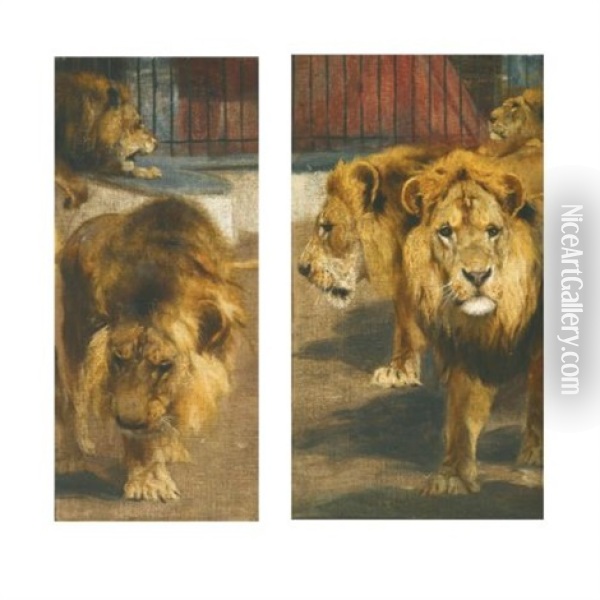Lions (pair) Oil Painting - Wilhelm Friedrich Kuhnert