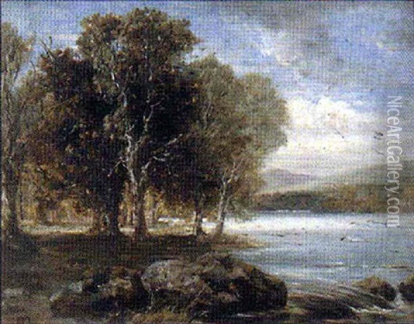 Trees On A Riverbank Oil Painting - George F. Chester