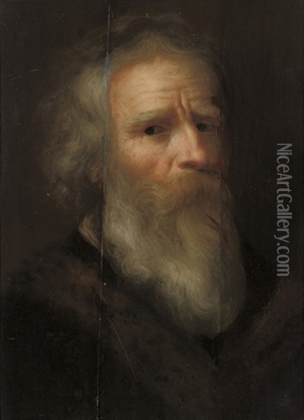 Head Of A Bearded Man Oil Painting - Jan Andreas Lievens the Younger