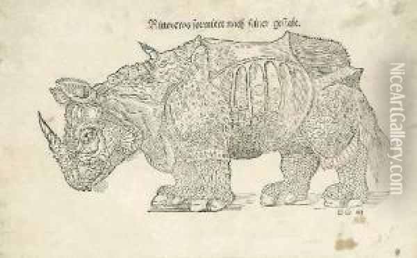 Rinocerosformiert Nach Seiner Gestalt