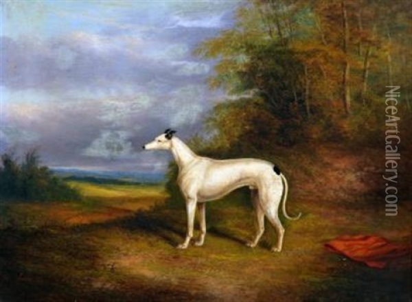 Portrait Of The Greyhound Oil Painting - James Clark