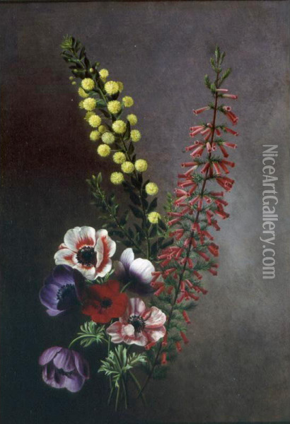 A Study Of Anemones,veronica And Other Flowers Oil Painting - Antoine Chazal