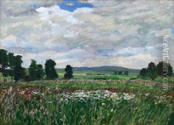 Meadow In Bloom Oil Painting - Antonin Hudecek