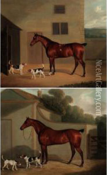 Studies Of Bay Hunters And Fox Hounds Outside Stables Oil Painting - David of York Dalby