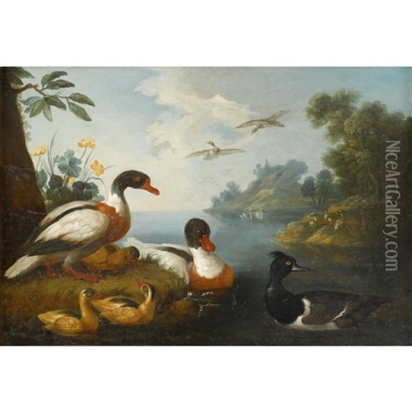 Waterfowl In A Landscape (pair) Oil Painting - Pieter Casteels III