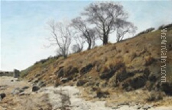 Beach Slope With Trees Oil Painting - Janus la Cour