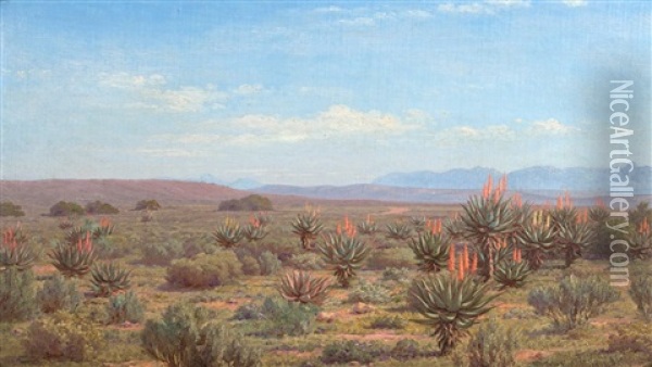 Aloes (or A Glimpse Of Our Veld) (jackalskop) Riversdale Oil Painting - Jan Ernst Abraham Volschenk