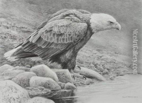 Bald Eagle Oil Painting - Robert Bateman