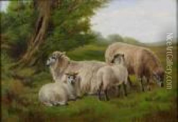 Sheep By Tree Oil Painting - Charles Jones