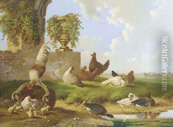 Poultry and ducks by a ruin Oil Painting - Albertus Verhoesen