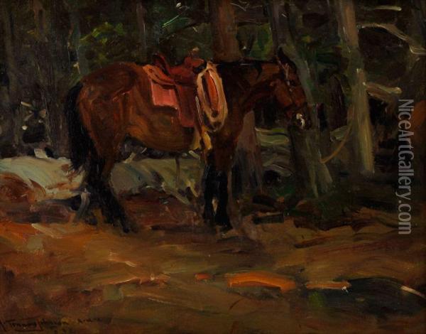 The Dark Horse Oil Painting - Frank Tenney Johnson