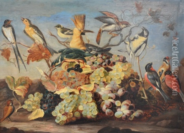 A Still-life With Bunches Of Grapes And Various Exotic Birds Oil Painting - Roelandt Savery