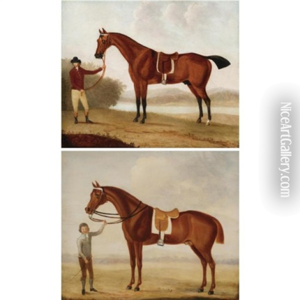 A Chestnut Racehorse Held By A Jockey (+ A Bay Racehorse Held By A Groom; Pair) Oil Painting - Benjamin Barker the Elder