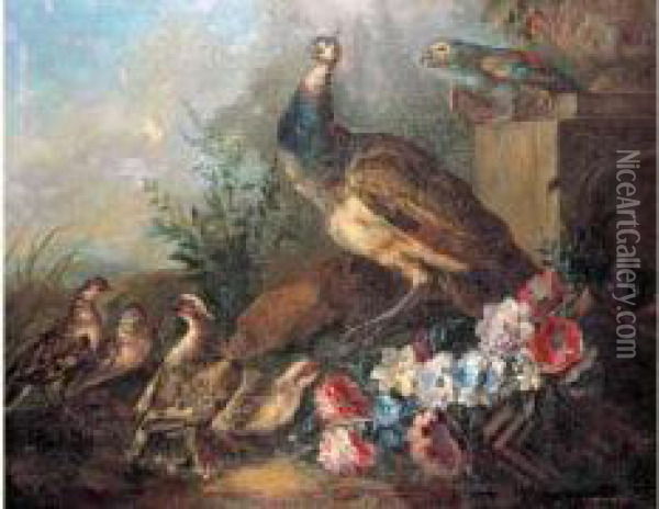 Paon Et Perdrix Dans Un Parc Oil Painting - Angelo Maria Crivelli, Il Crivellone