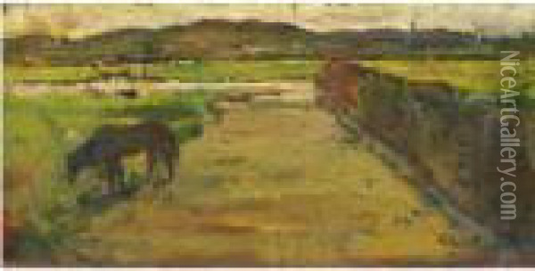 Cavallo Al Pascolo Oil Painting - Giovanni Bartolena