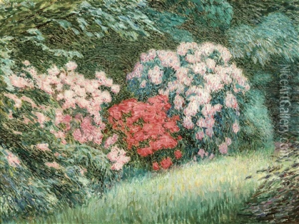 Les Rhododendrons Oil Painting - Emile Claus